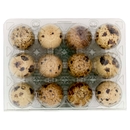 12 Uova Fresche di Quaglia